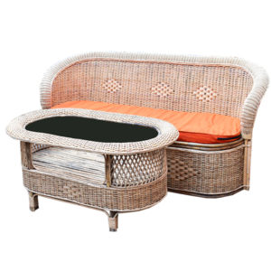 Cane/Rattan Couch Set