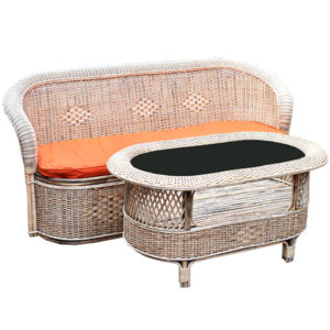 Cane/Rattan Couch Set