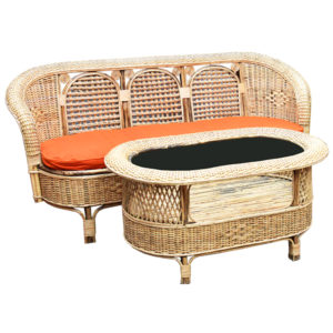 Cane/Rattan Couch Set