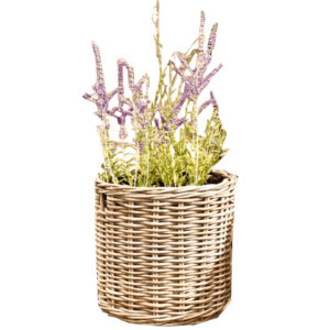 Cane/Rattan Flower Pot