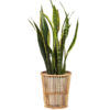 rattan pot, cane pot