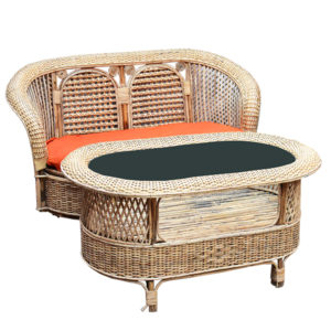 Cane/Rattan Couch Set