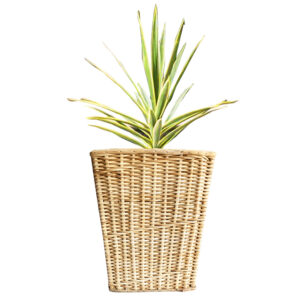 Rattan/Cane Flowerpot/Bin